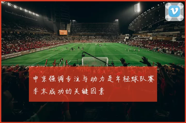 申京强调专注与动力是年轻球队赛季末成功的关键因素