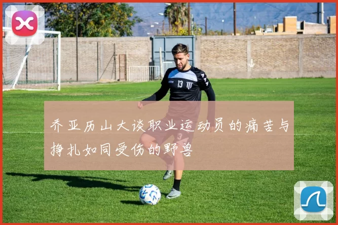 乔亚历山大谈职业运动员的痛苦与挣扎如同受伤的野兽