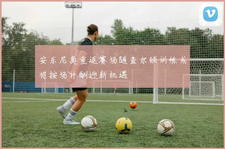 安东尼奥重返赛场随查尔顿训练或将按场计酬迎新机遇